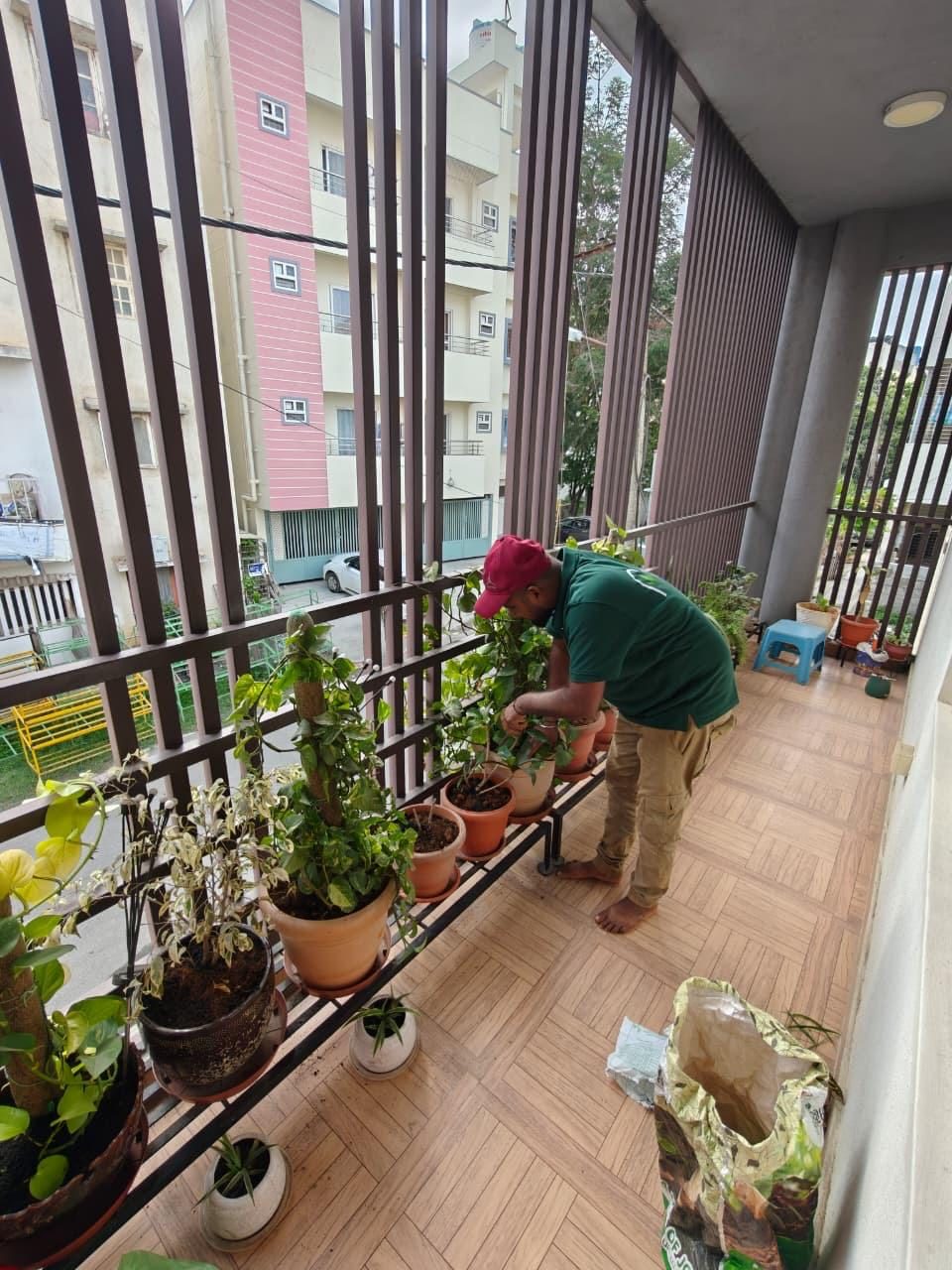 Plant Baddies gardener caring for plants on a long balcony